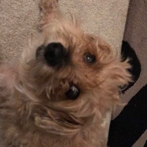 Meet your Posher, Tim